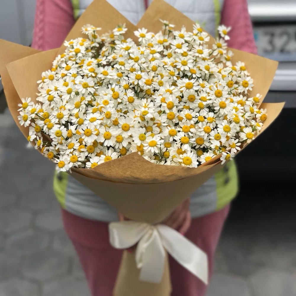 Летняя полянка ромашек