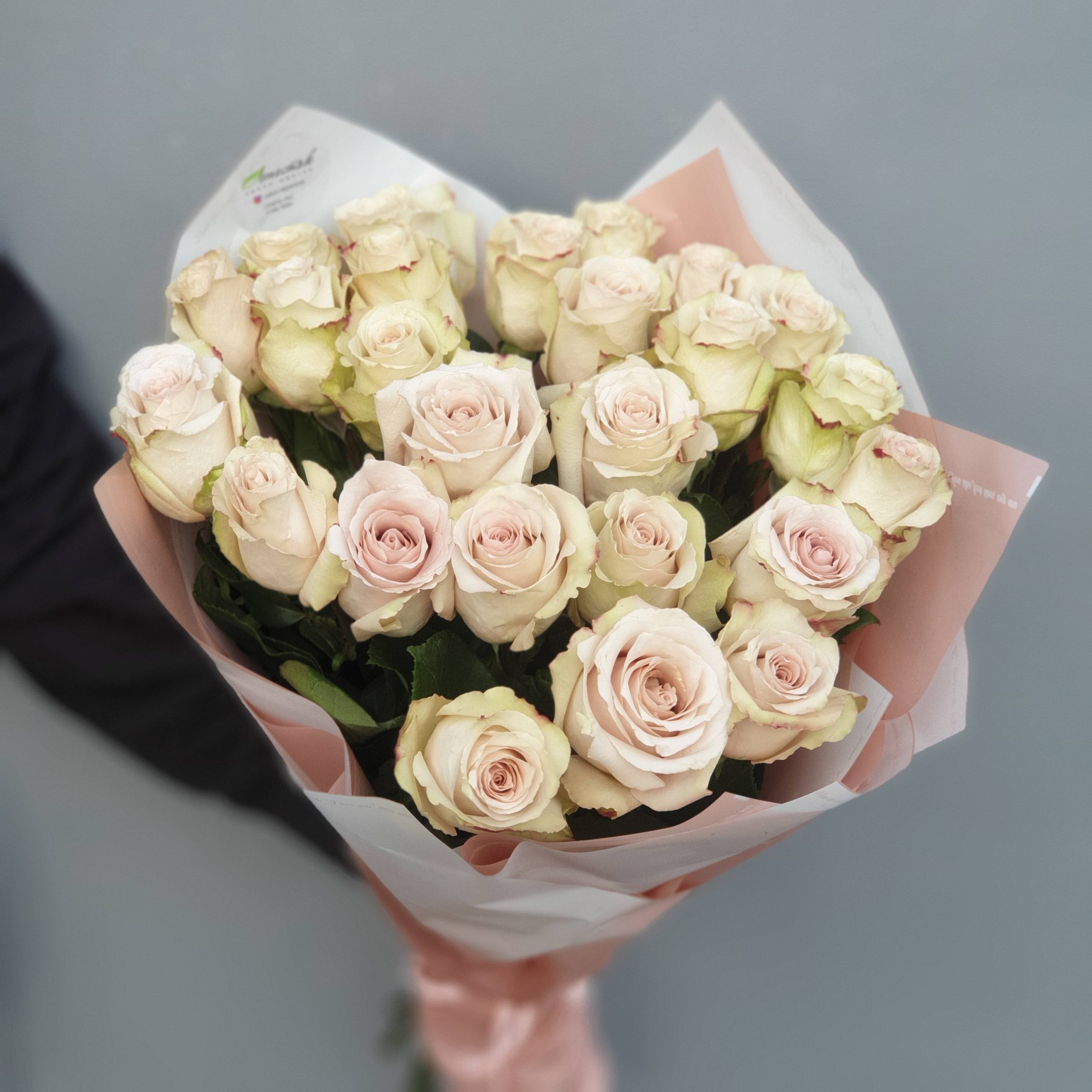 25 сортовых роз Quicksand